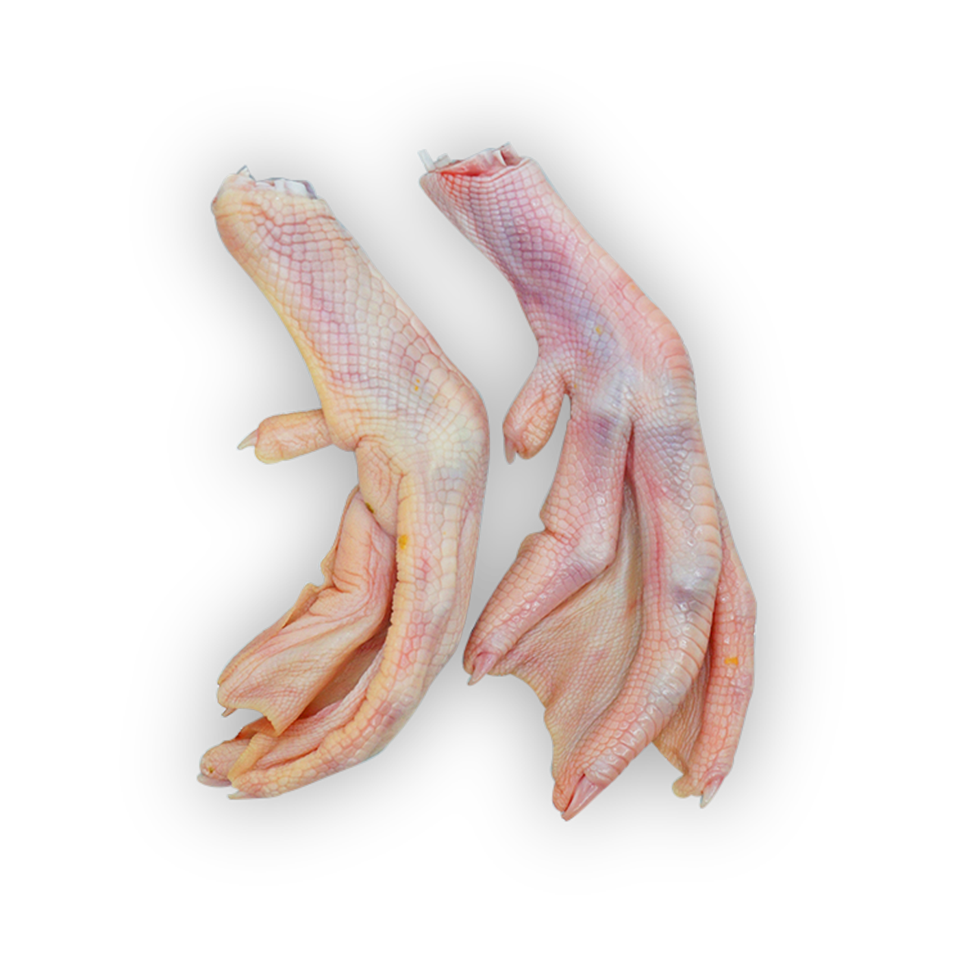 Duck Feet (500g)