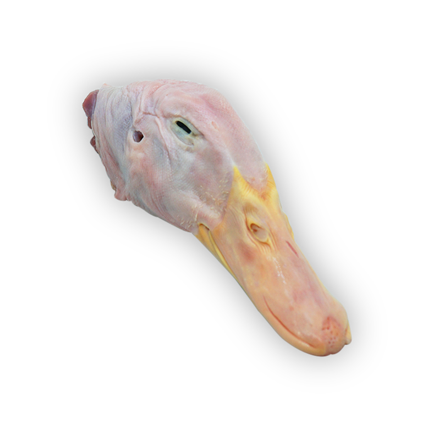 Duck Head (1kg)