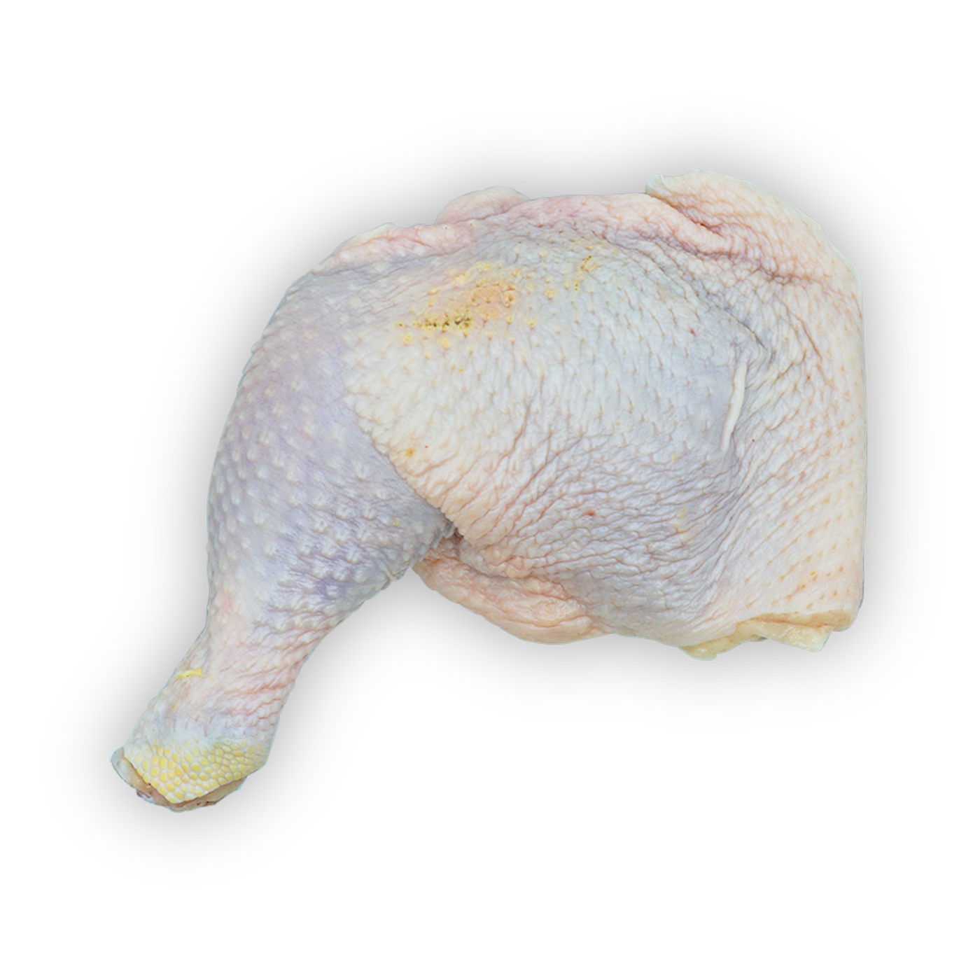 Chicken Leg (500g)