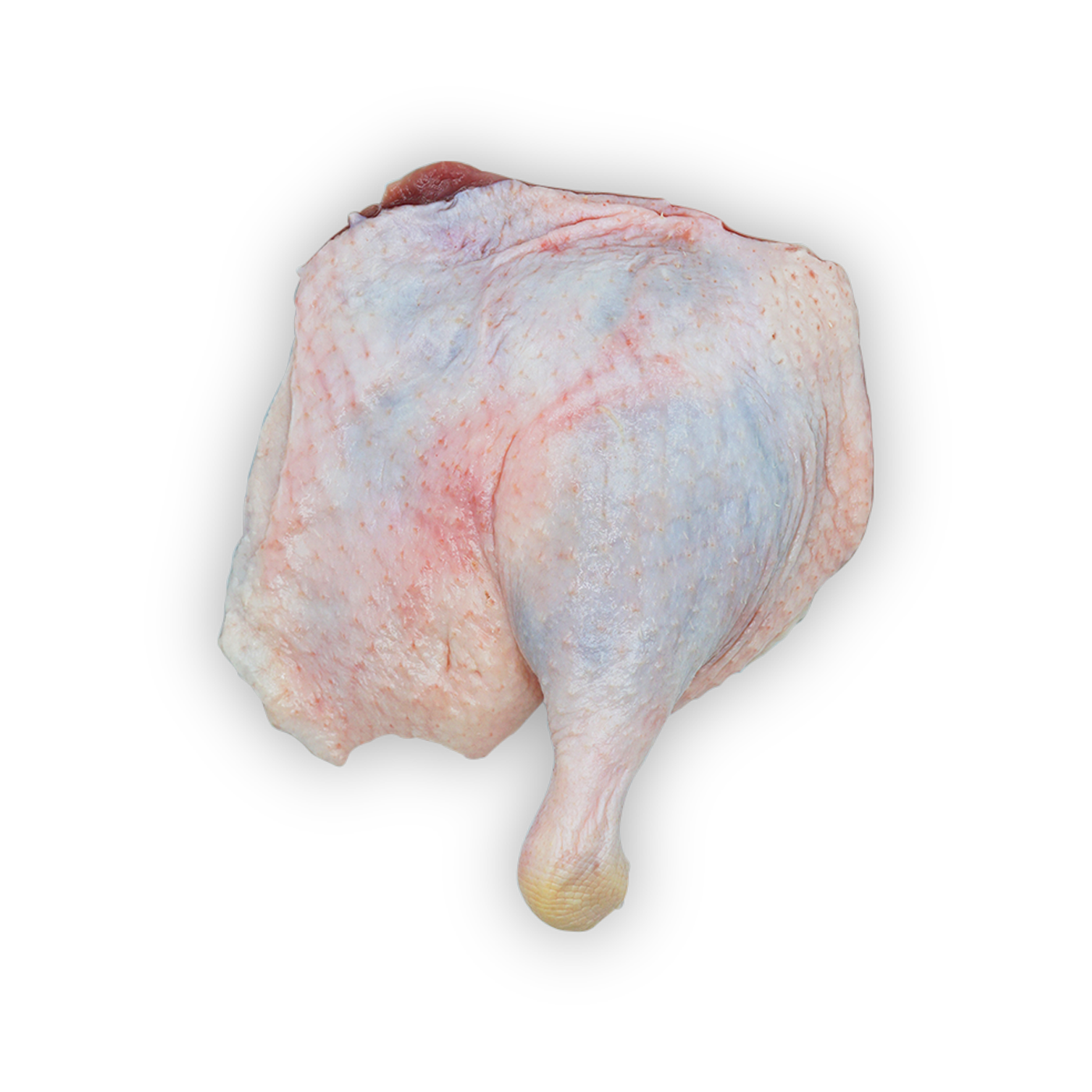 Duck Leg (300g)