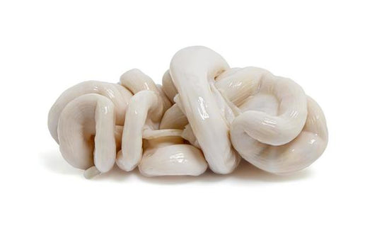 Pork Large Intestines (500g)