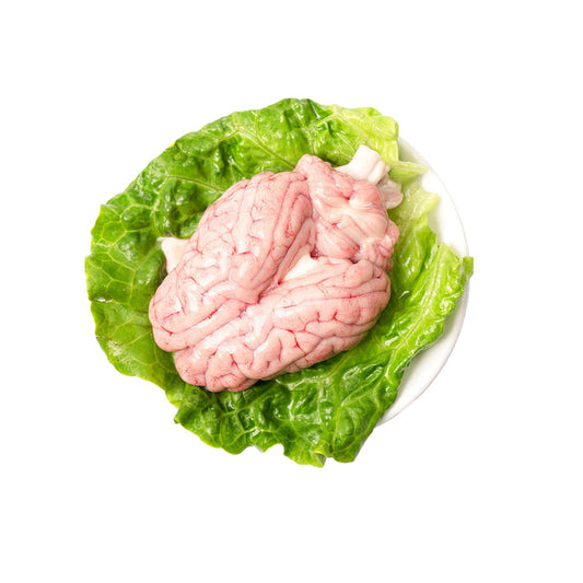 Pig Brain (2 pcs)