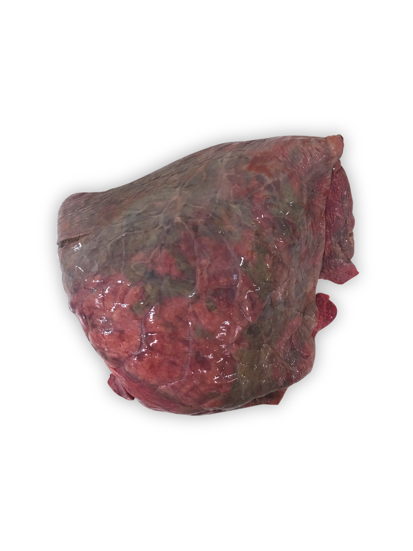 Beef Lung (300g)