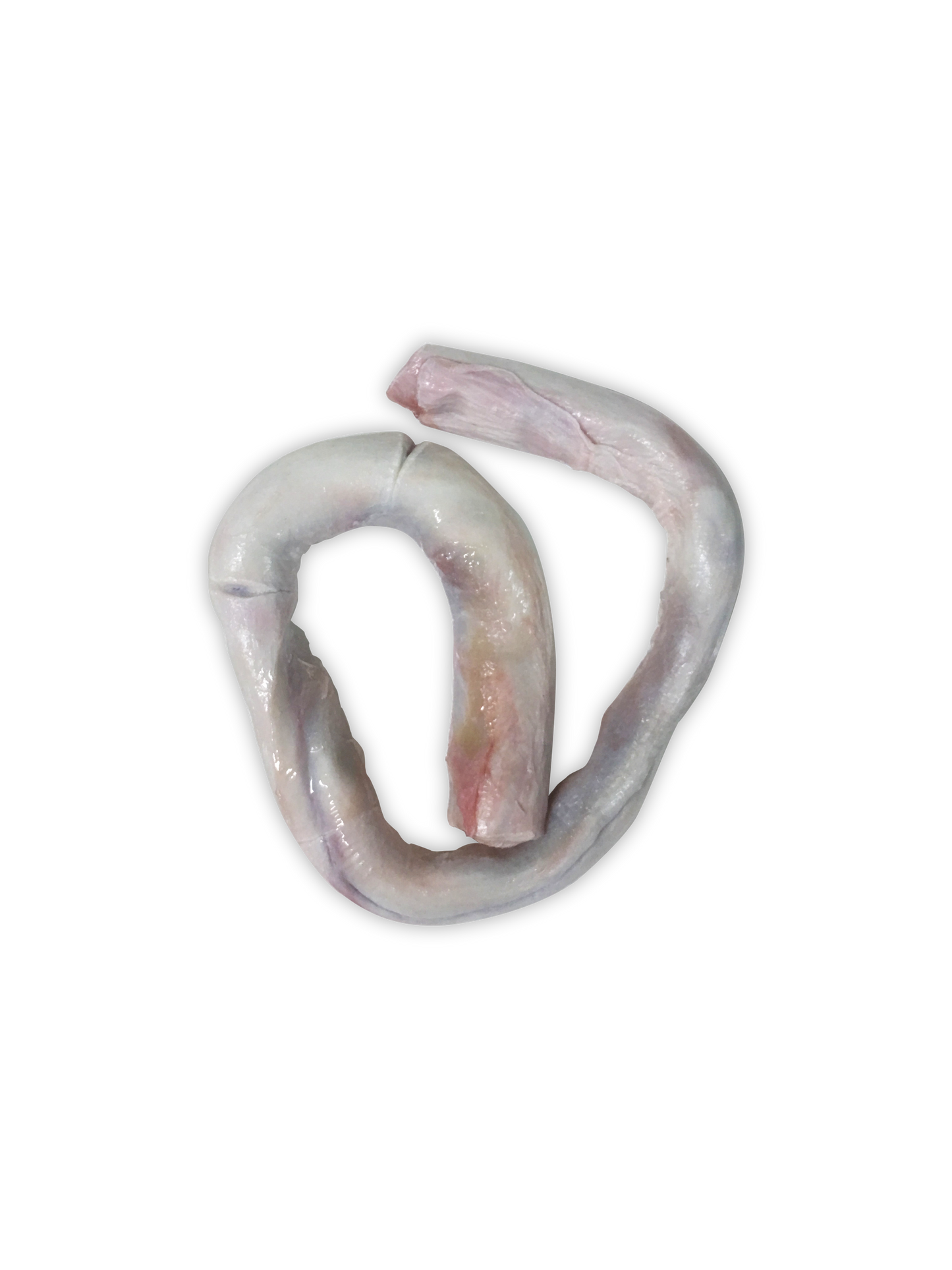 Bull Pizzle (1kg)