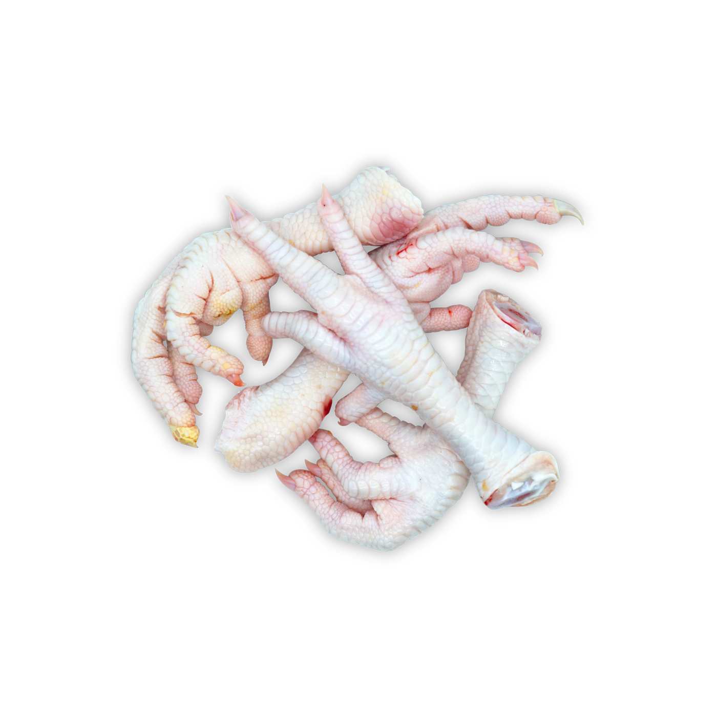 Organic Chicken Feet (500g)