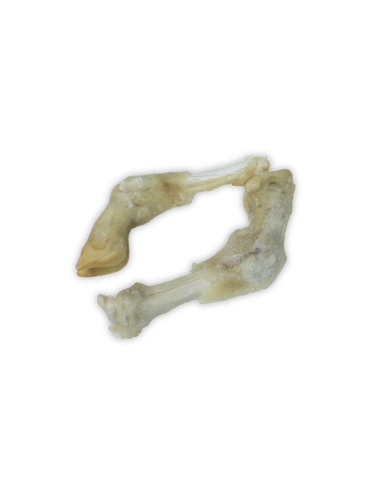 Lamb Feet (2 pcs)